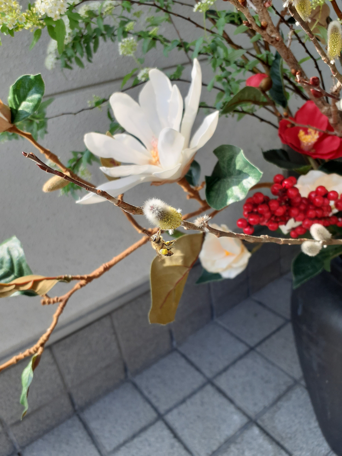 山水社．にも春が？？